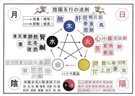 五行表格|陰陽五行對照表 (綜合版)